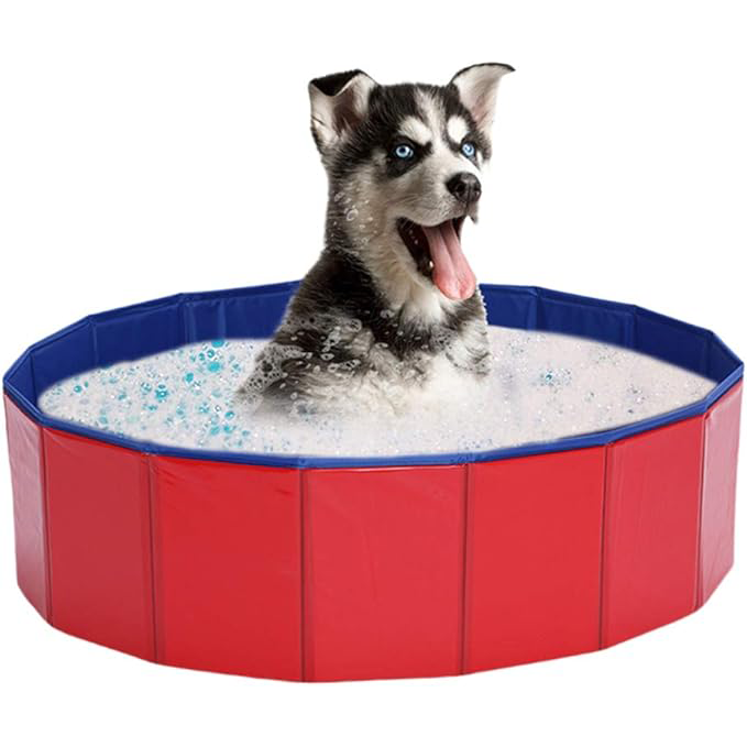 Piscina plegable para mascotas