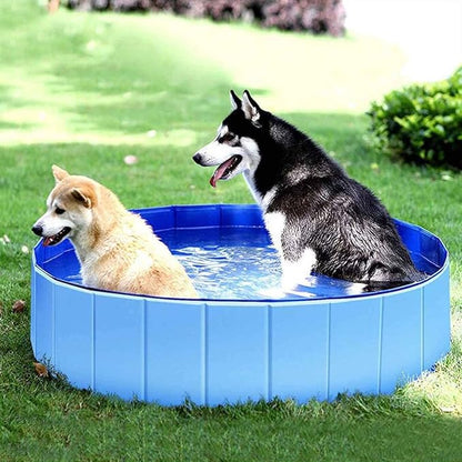 Piscina plegable para mascotas