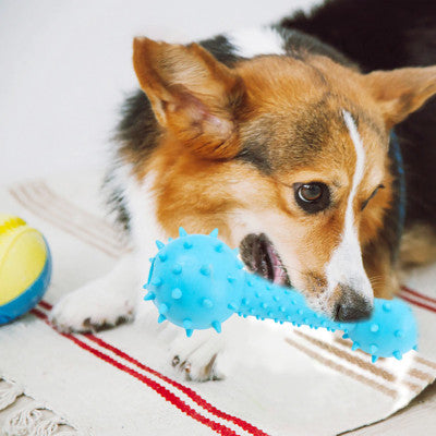 Hueso de juguete para perros